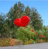 Weifang Red Heart Love Kite - Soft Body Adult Cross-Border Kite