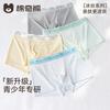 Boys' Ice Silk Underwear