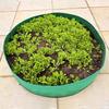 Felt Grow Bag Large Diameter Plant Vegetable Planter Garden  Outdoor Planting Flower Pot Thickened Seed Growing Bag Plant Pot