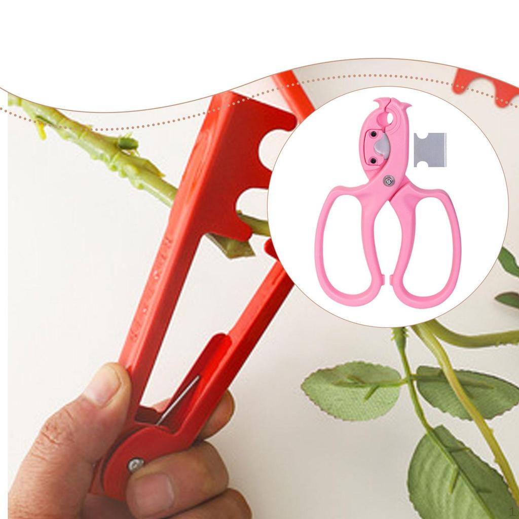 Nástroj na odstraňování trnů růží Pevný odstraňovač pro zahradničení Růžový