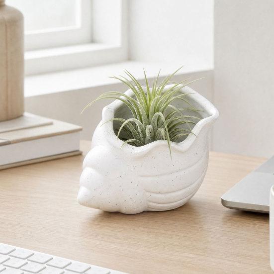 3D Printed Conch Flower Pot Moisture-Resistant Mini Planter with Wavy Edge And Drain