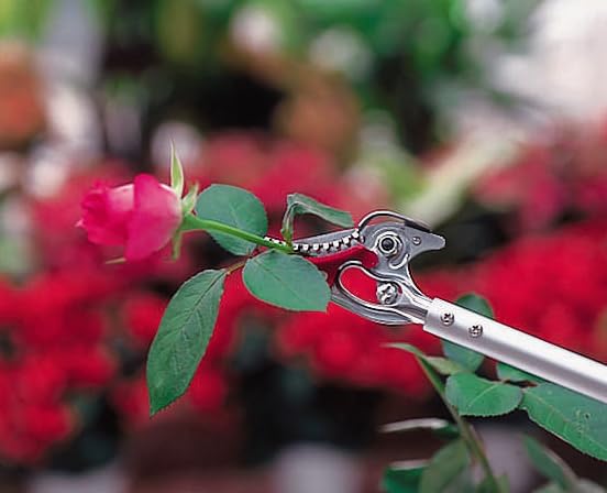 ARS Corporation Forbici da Giardinaggio ARS Hanapatchin 150-0.6D