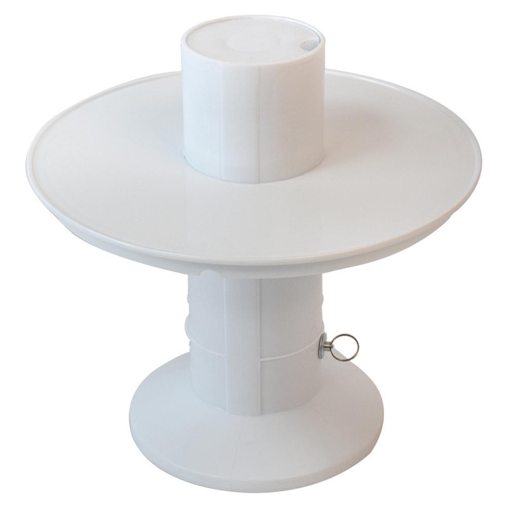 8 Inch Single Layer Surprise Cake