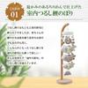 Osaka Choseido May Doll Indoor Carp Streamer Cute Hanging Decoration Height 41cm Includes Named Wooden Tag Bonus Carp Streamer Single Walnut Hanging