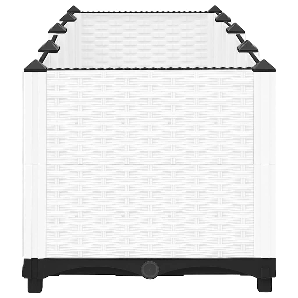 Raised Garden Bed 160 x 40 x 38 cm Polypropylene