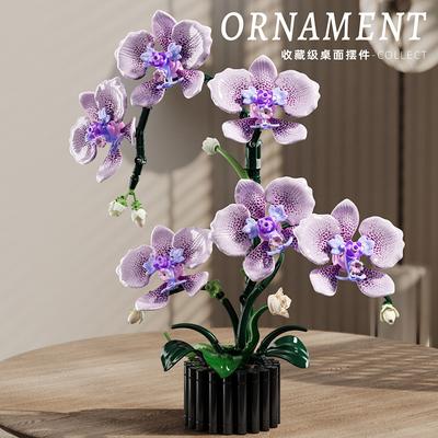 Phalaenopsis Building Blocks Orchid Eternal Flower Plant Cymbidium Model Assembled Brick Ornaments Toys For Home Decoration