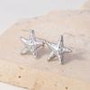CARLIDANA Popular Ins Style Beach Stainless Steel Pentagonal Starfish Fashionable Marine Biological Design Jewelry Earrings