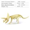 Fossil Dinosaur Skeleton Model With Plastic Material For Kids Educational Decor