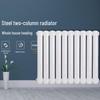 Lixing LX-5025 Steel Two-Column Radiator