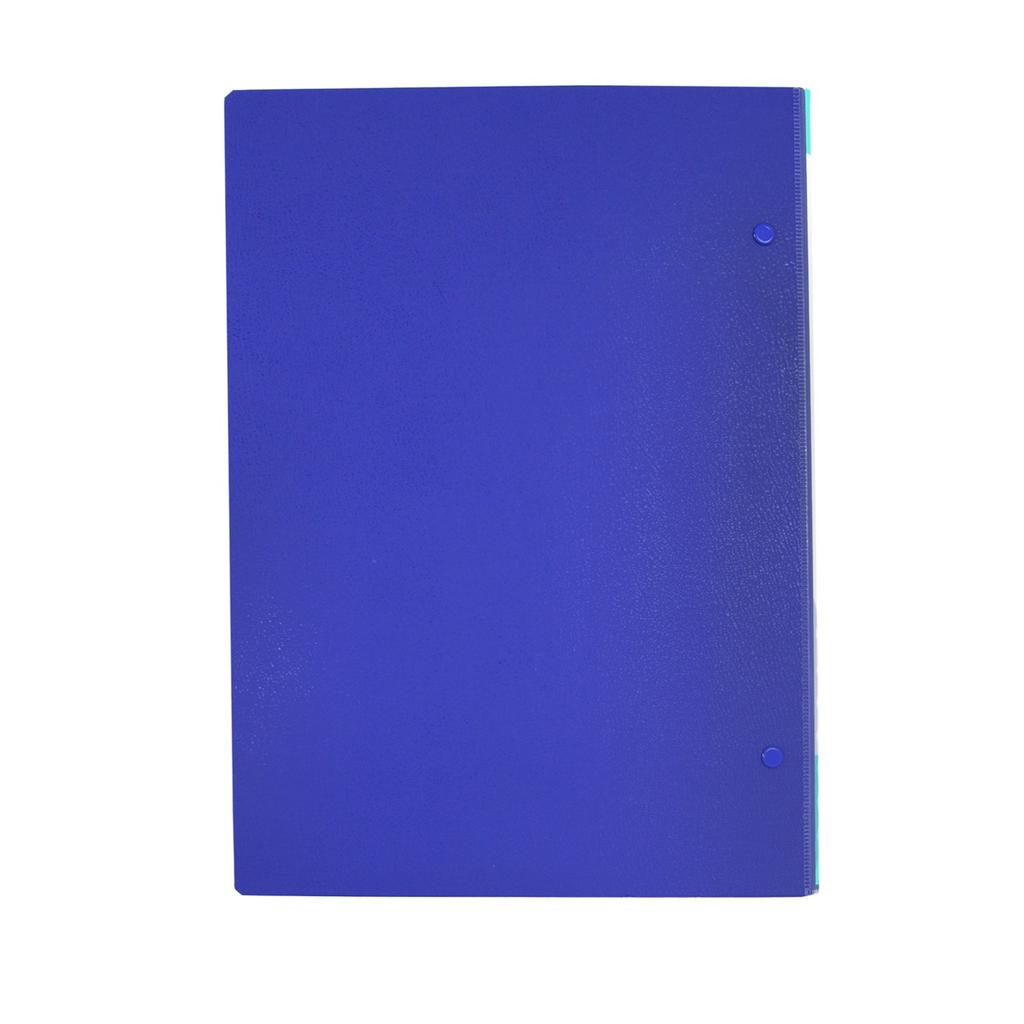 Lion Office Products File, Press Type, A4S, FL-101, Blue