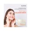 KLAVUU Real Vegan Collagen Eye Patches 60 Patches | Korean Overnight Under Eye Mask Infused With 500 Daltons Low-Molecular Carrot Collagen