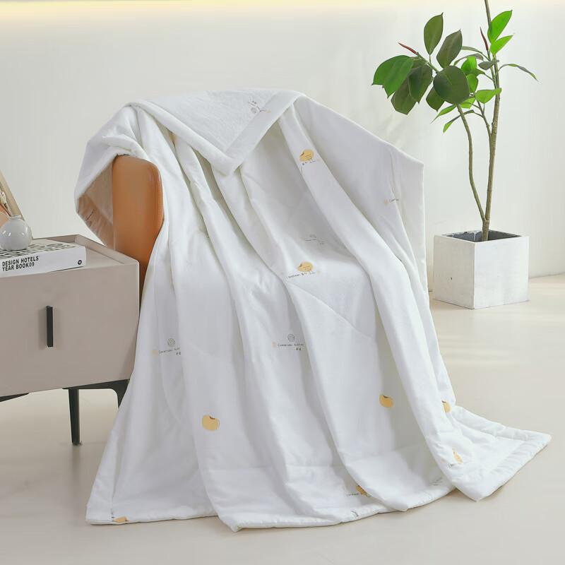 

Yalu Cloud Soft Soy Protein Summer Quilt