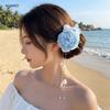 Sweet Pearl Flower Hairpin Colorful Tassel Hanfu Hair Accessories Side Clip Headpieces Chinese Style Hair Clip Photography Props