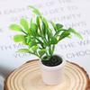 1:12 Doll House Mini Potted Small Green Plant Decoration Ornaments