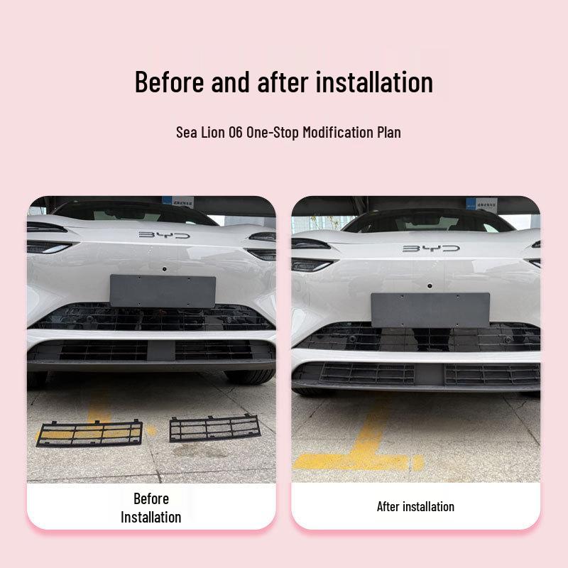 BYD Sea Lion 06 Abnehmbarer Frontgrill Insektenschutz