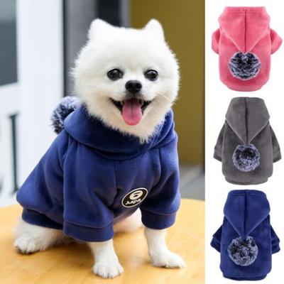 Herbst und Winter Kapuzenhund Gold Samt Verdickter Zweibeinpullover Katze Französische Bulldogge Haustierkleidung