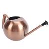 Watering Can with   Spout 1000ml Stainless Steel Round Indoor Plant Watering Can with Detachable Head for Home Garden Flower