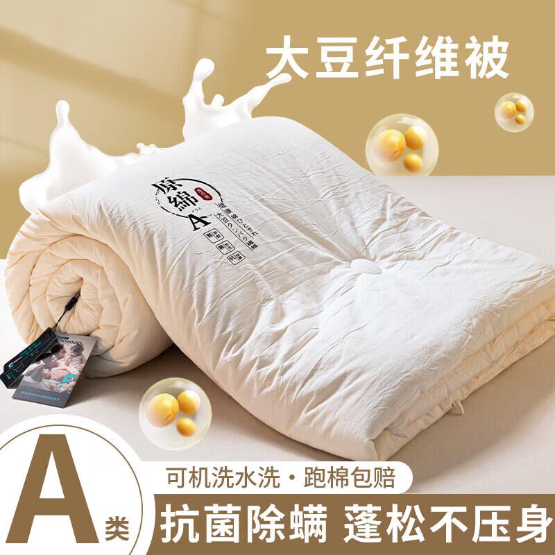 

DZQ Soy & Polyester Fiber 2-in-1 All-Season Duvet 150x200cm