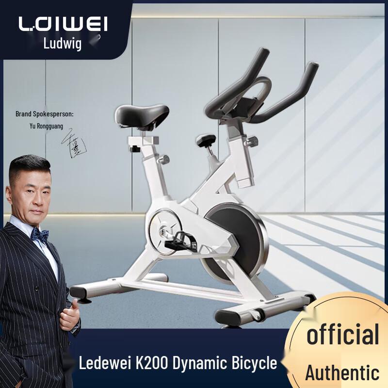 LDIWEI K200 Home Spin Bike