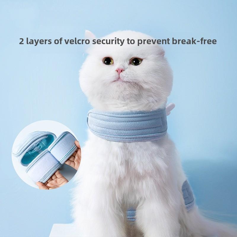Katze Engelsflügel Out Weste Leine Spaziergang Katze Seil Spaziergang Hund Seil Welpe Brustgurt Haustierbedarf