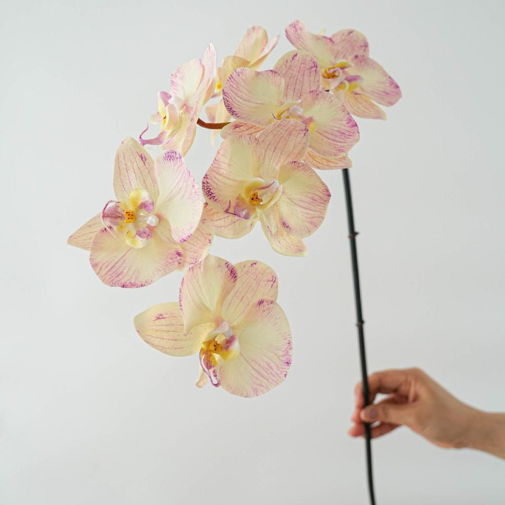 High Quality Luxury Flowers Latex 8 Heads Butterfly Orchids Artificial Real Touch Phalaenopsis Orchid Wedding Decor