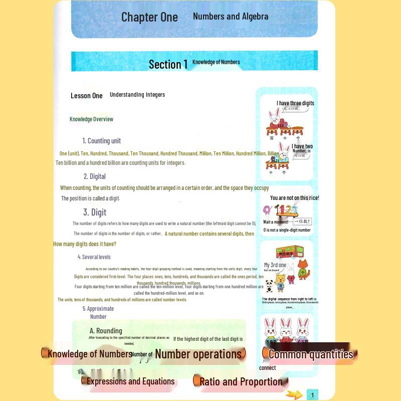 Primary School Mathematics Illustrated Guide
