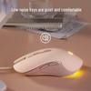 HP Wired Gaming Mouse with Dynamic RGB Lighting