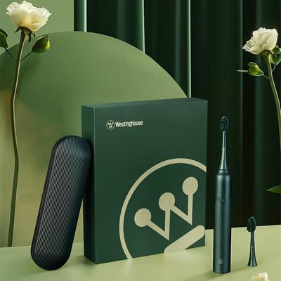 WT-301G Sonic Electric Toothbrush CN Plug (adapter Included)