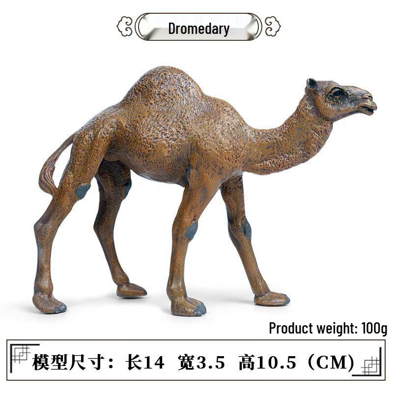 Camel Model Toy: Single/Double Humped - Realistic Desert Animal Ornament