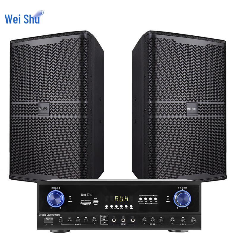 Weishu KX-300 Professional Conference Audio System (CN Version)