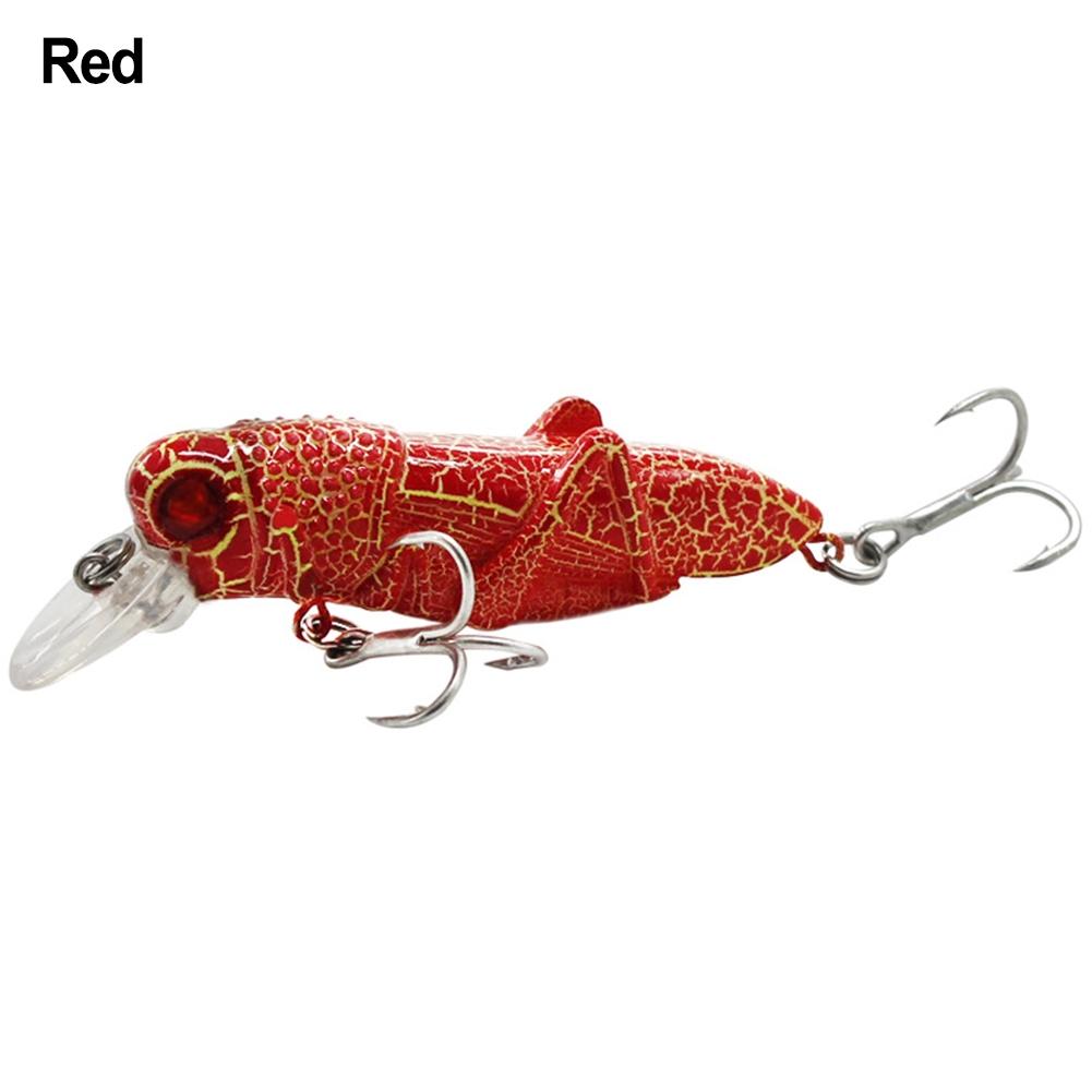Innovative Design of 5cm Insect Fishing Lures To Attract Fish Easily