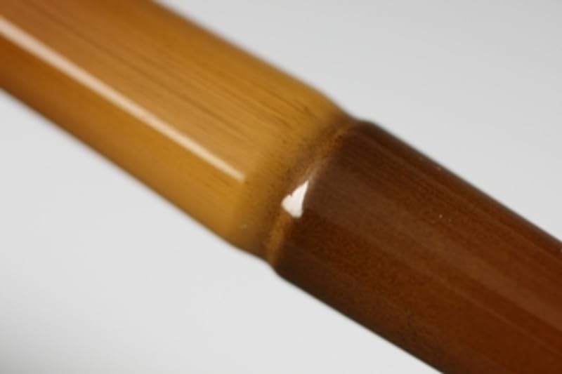 DAIWA Hera Rod Gekko 11 Fishing Rod