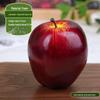 Foam Fruit Model Set: Educational Toy & Display with Plastic Apples, Bananas, Grapes for Kids