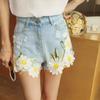 Daisy Clothing Applique Exquisite Clothes Patches Flower Embroidered Patches  Sewing