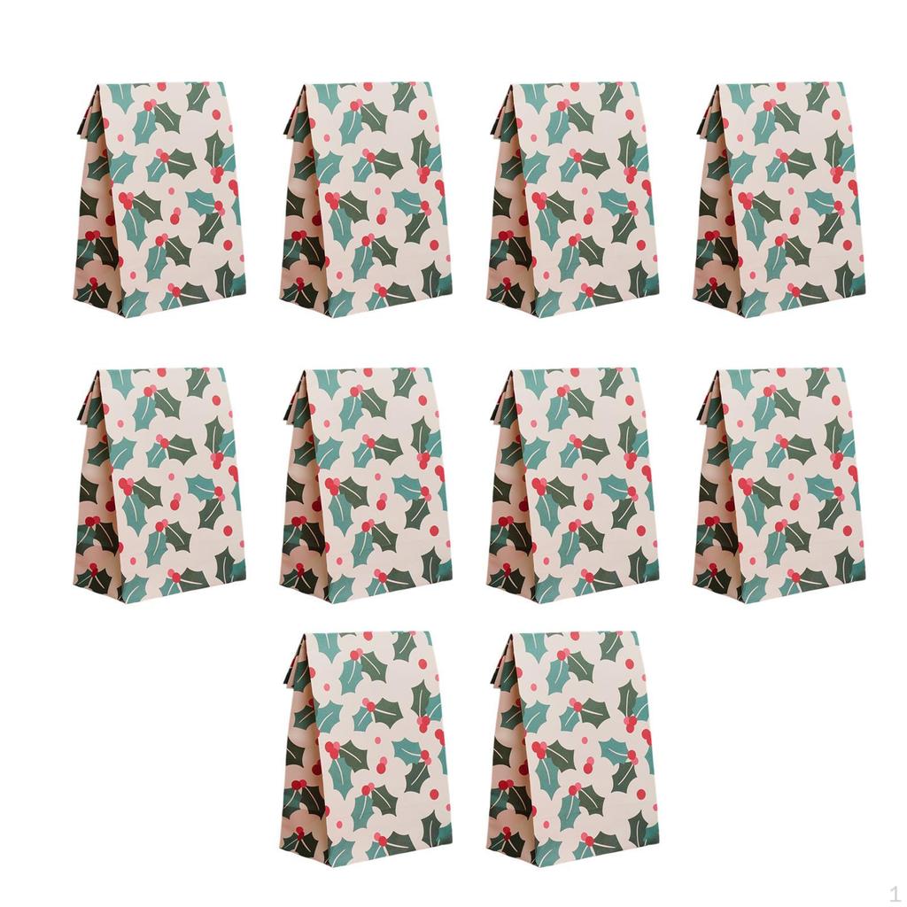 10 Pieces Christmas Gift Bag Food Packing Bags Sweets Pastry for Birthday Party Decor