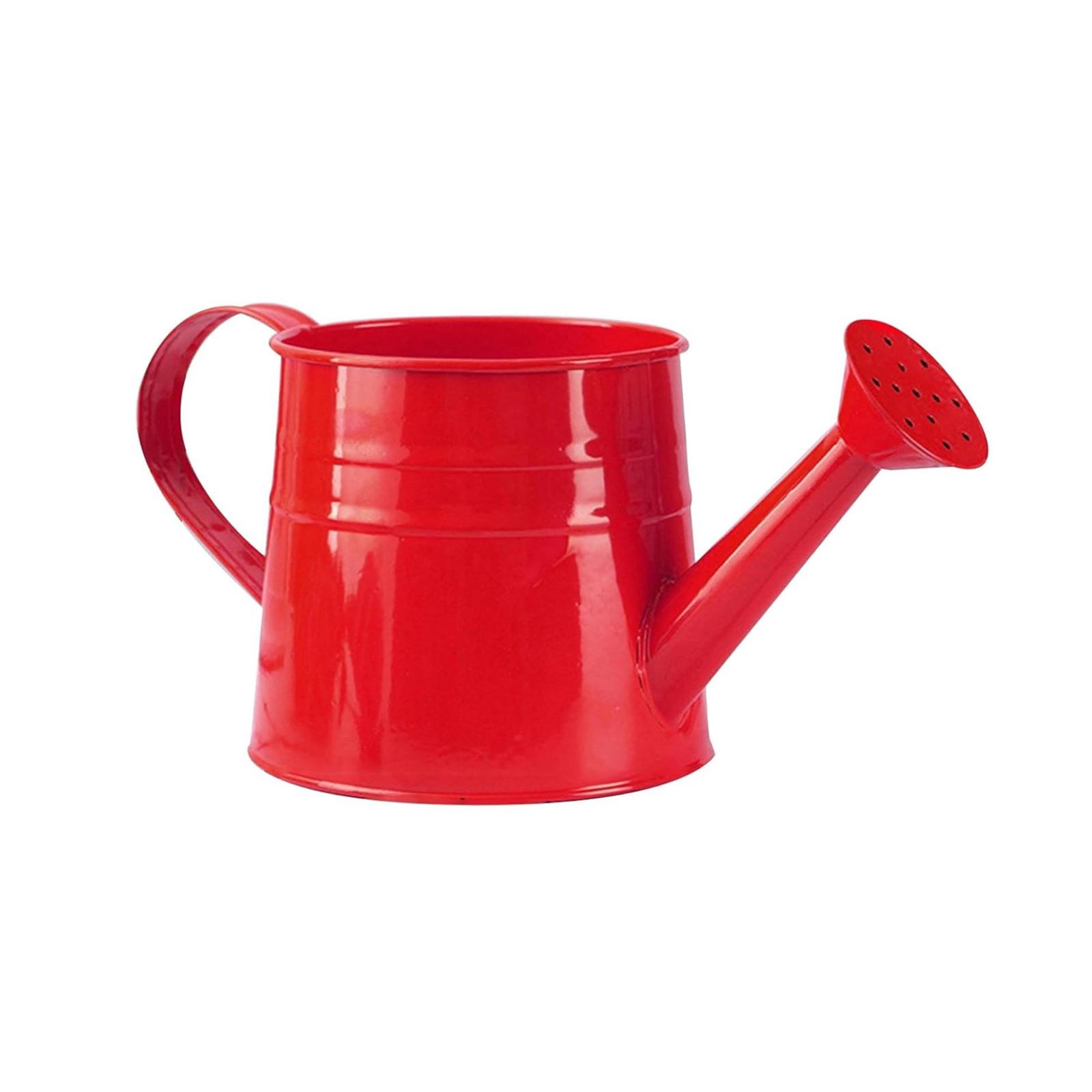 

Лейка для садовых инструментов, аксессуары для лейки, лейка для растений, металлическая лейка для сада для растений в помещении и на открытом воздухе One Size красный