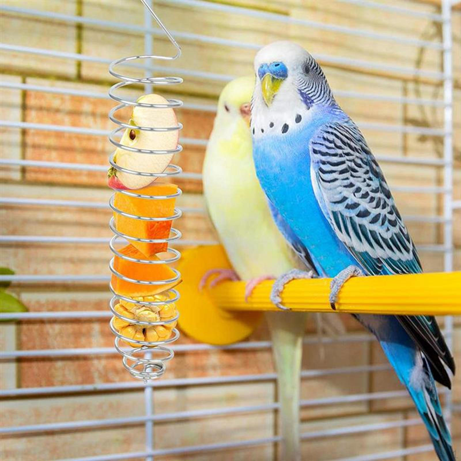 

Держатель для корма для птиц, держатель для фруктов из нержавеющей стали, курица, попугаи, какаду, корелла, овощи, шампур, держатель для фруктов