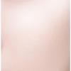the SAEM True Fit Fixer Cushion Foundation 15g