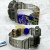 CASIO FROGMAN 5th Dolphin and Whale Conference Dolphin and Whale Watch / G-SHOCK DW-8200K-8