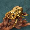 Wind Up Beetle Bionic Toys Creative Prankster Animated Insect Toy Model Beetle Children'S Battle Plastic Animals Wind Up Toy