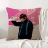 Singer Porter Robinson Pillow Case Natural Linen Organic Fabric Double-Sided Printing Breathable Perfect Gift For Decor