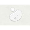 SKINFOOD Pantothenic Water Parsley Ampoule, 50ml