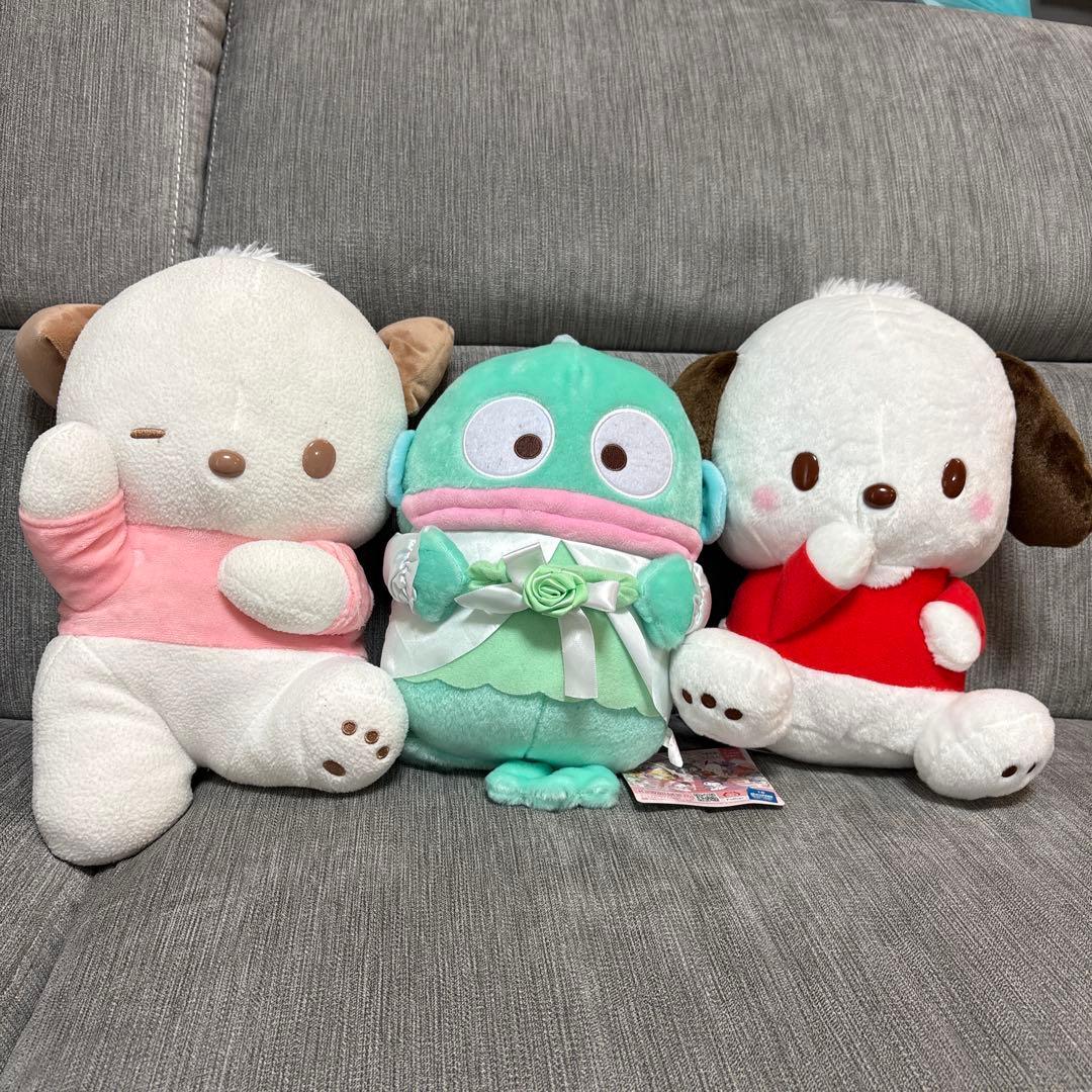 Sanrio character stuffed toy set Pochacco Hangyodon