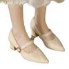 Chunky Fur Shallow Women Shoes Pointed Toe Elegant Mid Heels Shoes 2025 Trend Designer Buckle Pumps Winter Fashion Mujer Zapatos