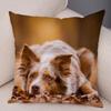 Soft Plush Cute Pet Animal  Cushion Cover Scotland Border Collie Pillowcase for Sofa Car Decor Dog Printed Pillow Case,(10)
