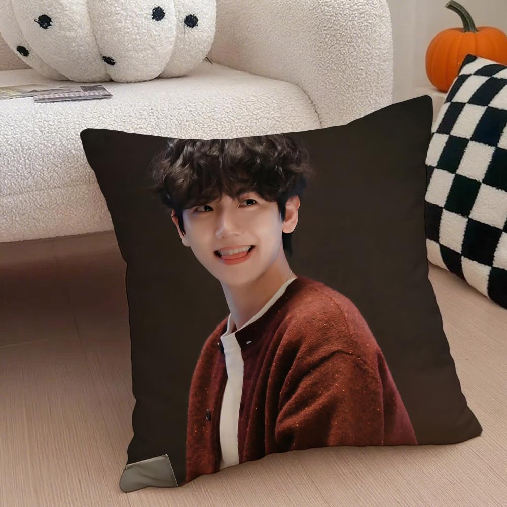 singer charming BBaekhyun Cushion Cover Throw Pillow Cover Hidden Button Durable Polyester Chair Cushion
