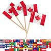 65mm American Flag Wooden Toothpick Picks