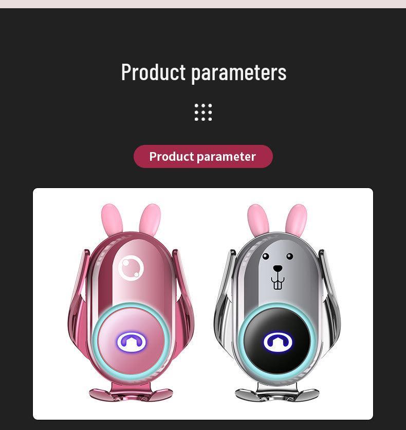 Support de voiture spécial Great Wall Cannon & Ora Cats pour versions Passager, Tout-terrain et Commerciale