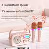 Good Shepherd D10 All-in-One Karaoke System with Bluetooth Speaker & Microphone CN plug (adapter included)