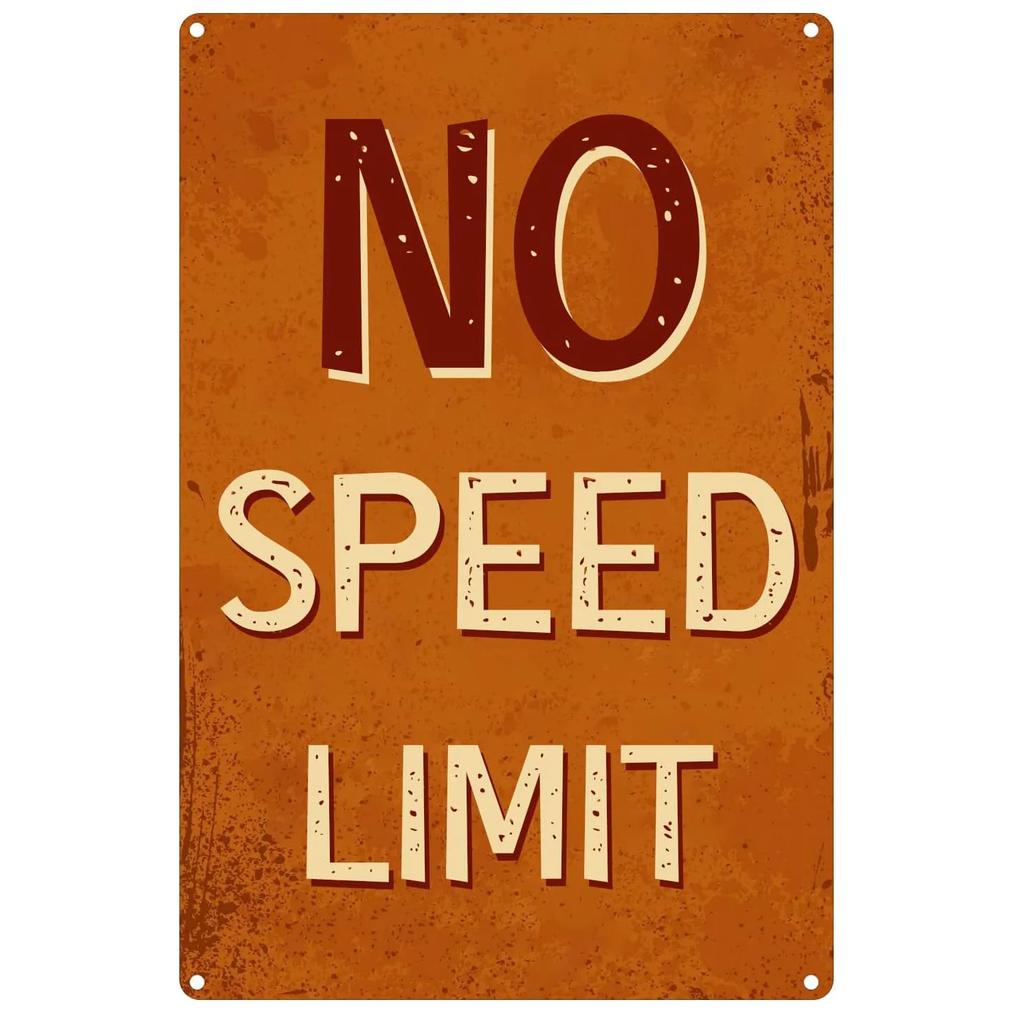 Panneaux en métal vintage « Pas de limite de vitesse » Affiches Plaque Décoration murale pour maison Bars Garage Café Clubs Pubs Affiches rétro Plaque